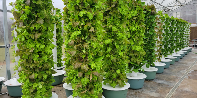 About Greenhouse Towers in Elkin, North Carolina