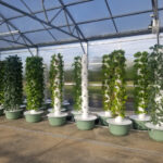 Greenhouse Farms