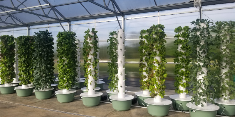 Greenhouse Farms in Elkin, North Carolina