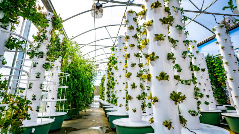 Vertical Farm Systems in Elkin, North Carolina