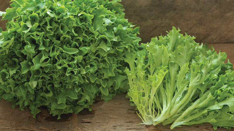 Local Produce in Elkin, North Carolina