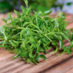 Herbs & Greens