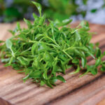 Vegetable Seedlings