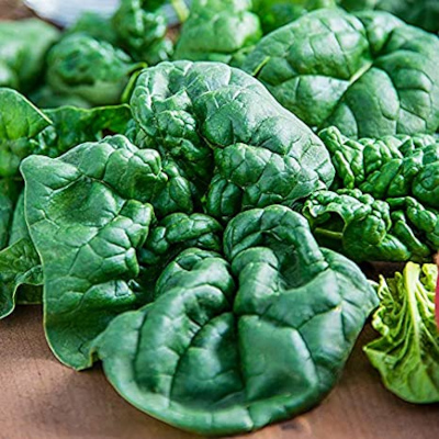 Leafy Greens in Elkin, North Carolina